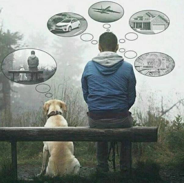 fine_examples_when_a_picture_says_more_than_just_a_thousand_words_640_01.jpg