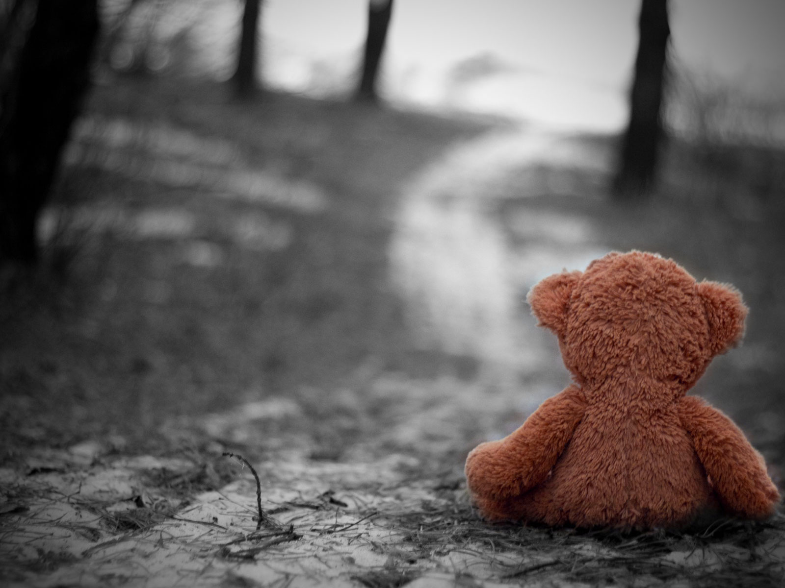 teddy-bear-sitting-alone-on-road.jpg