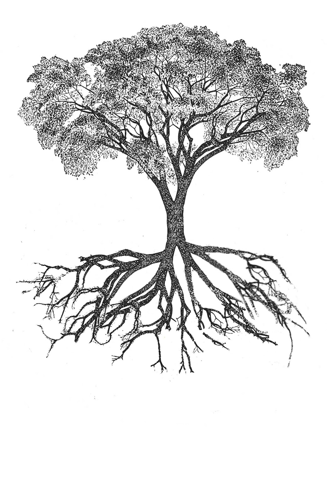 tree_combined.jpg