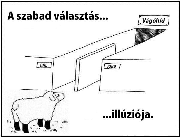 szabad_valasztas.jpg