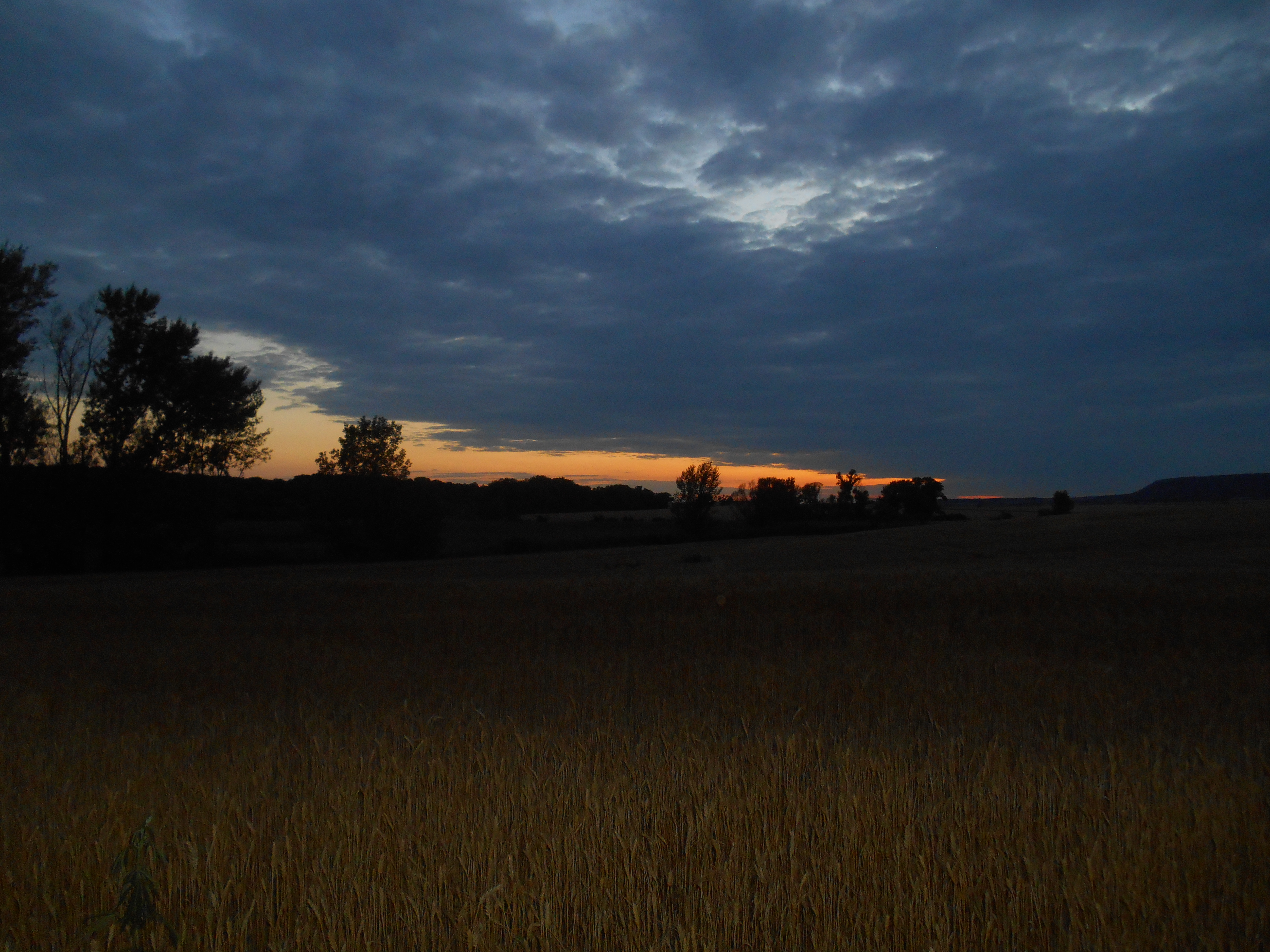dscn2990.JPG