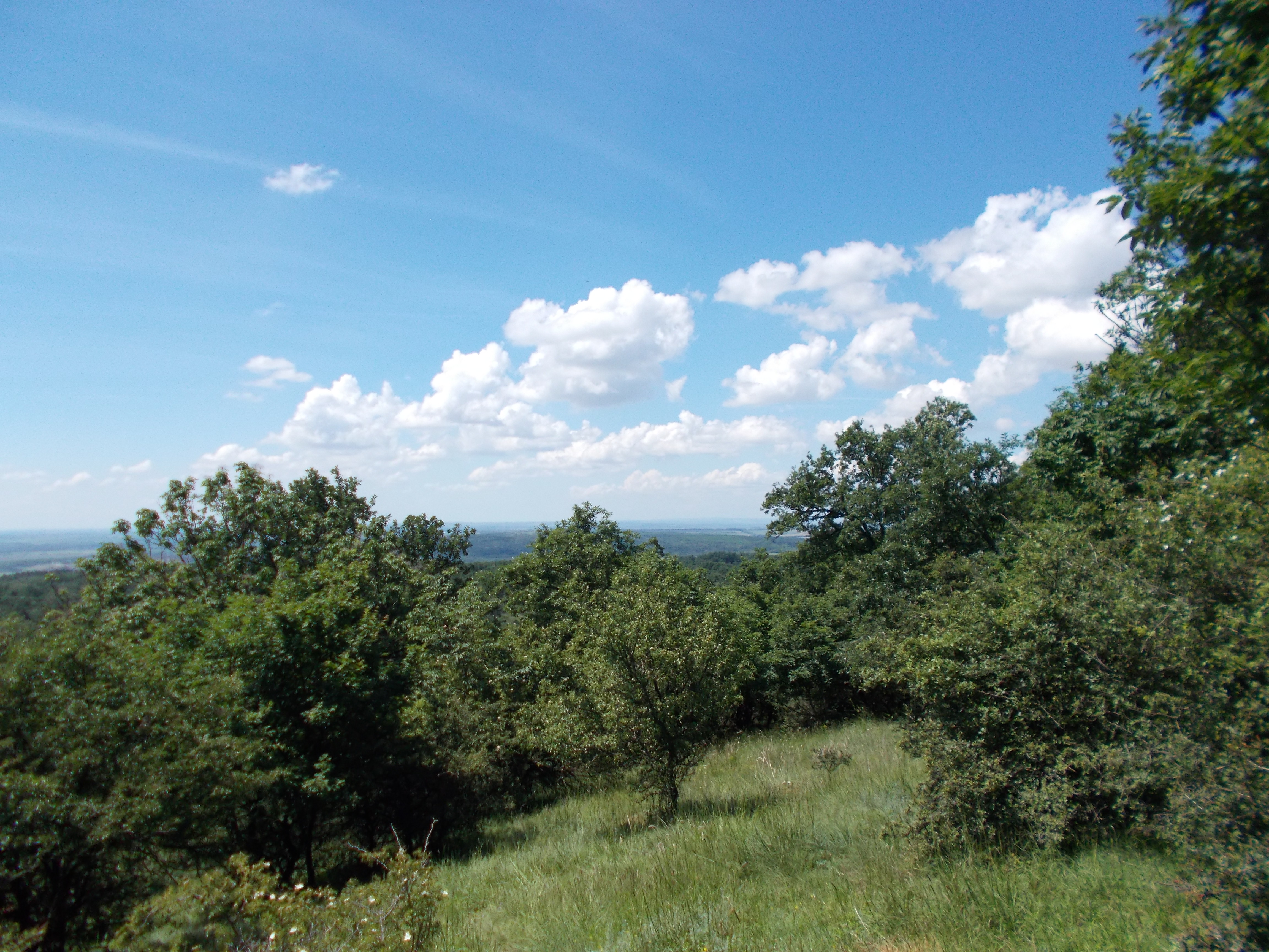 dscn1337.JPG
