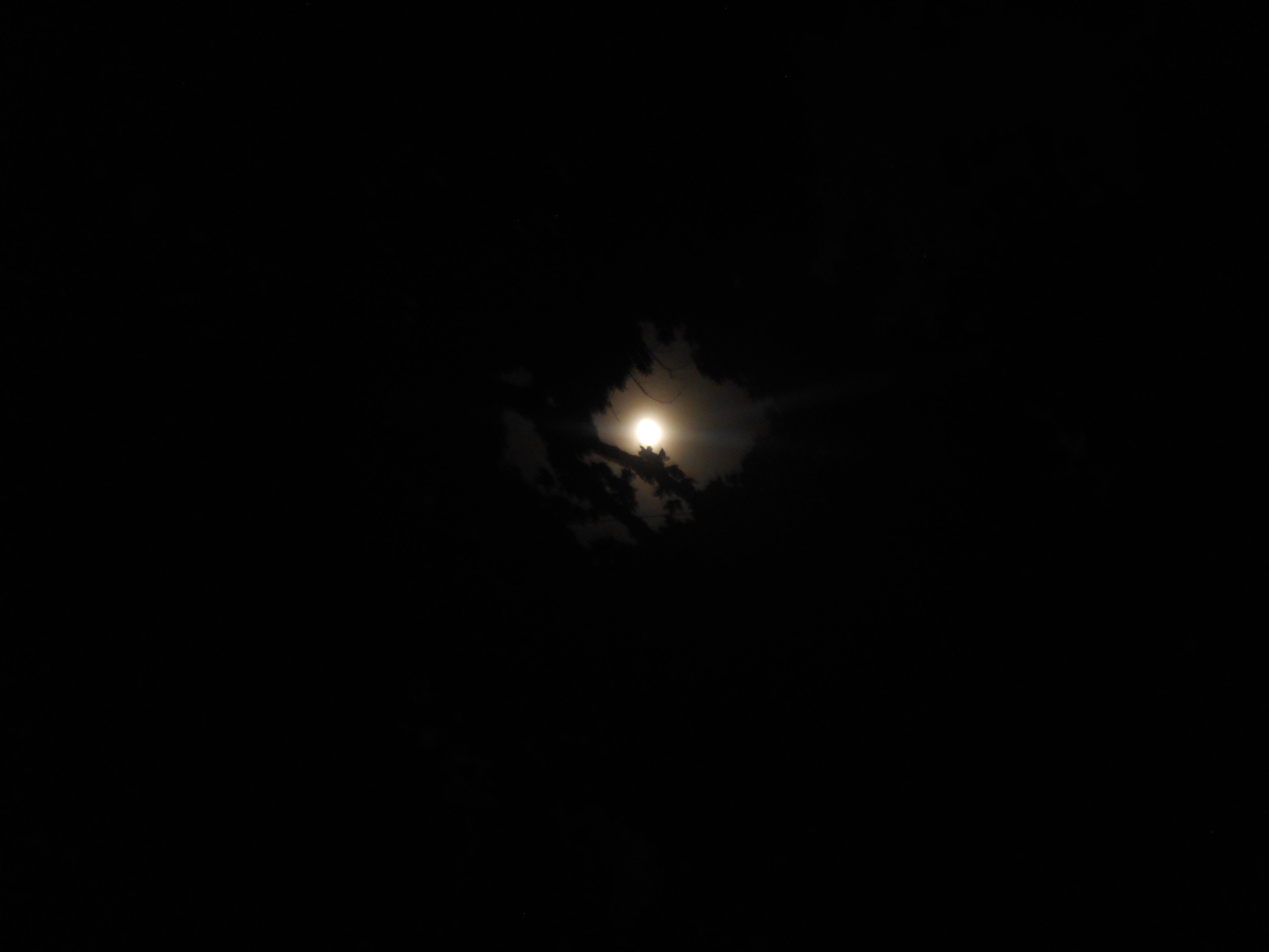 dscn1940.JPG