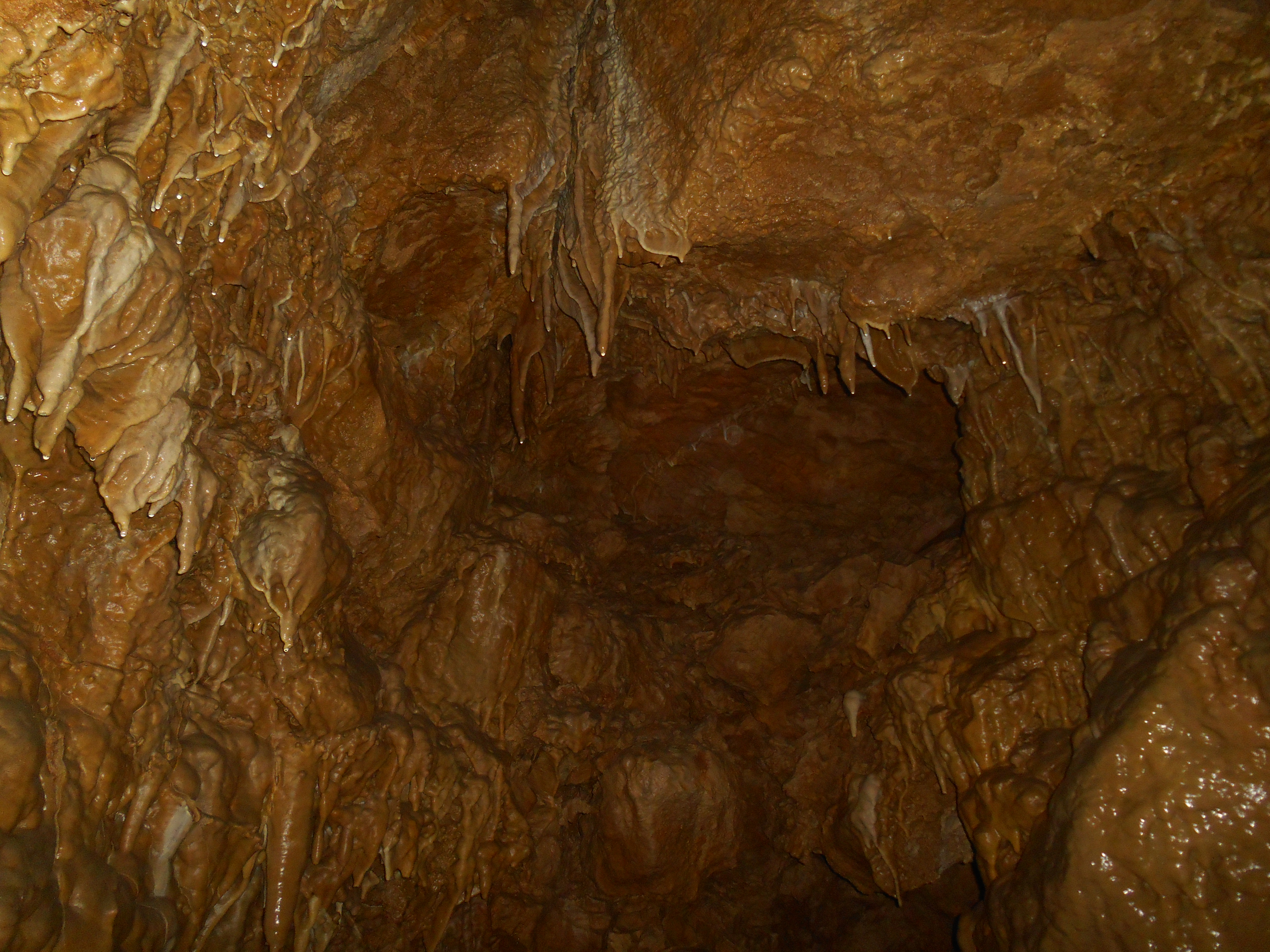 dscn5266.JPG