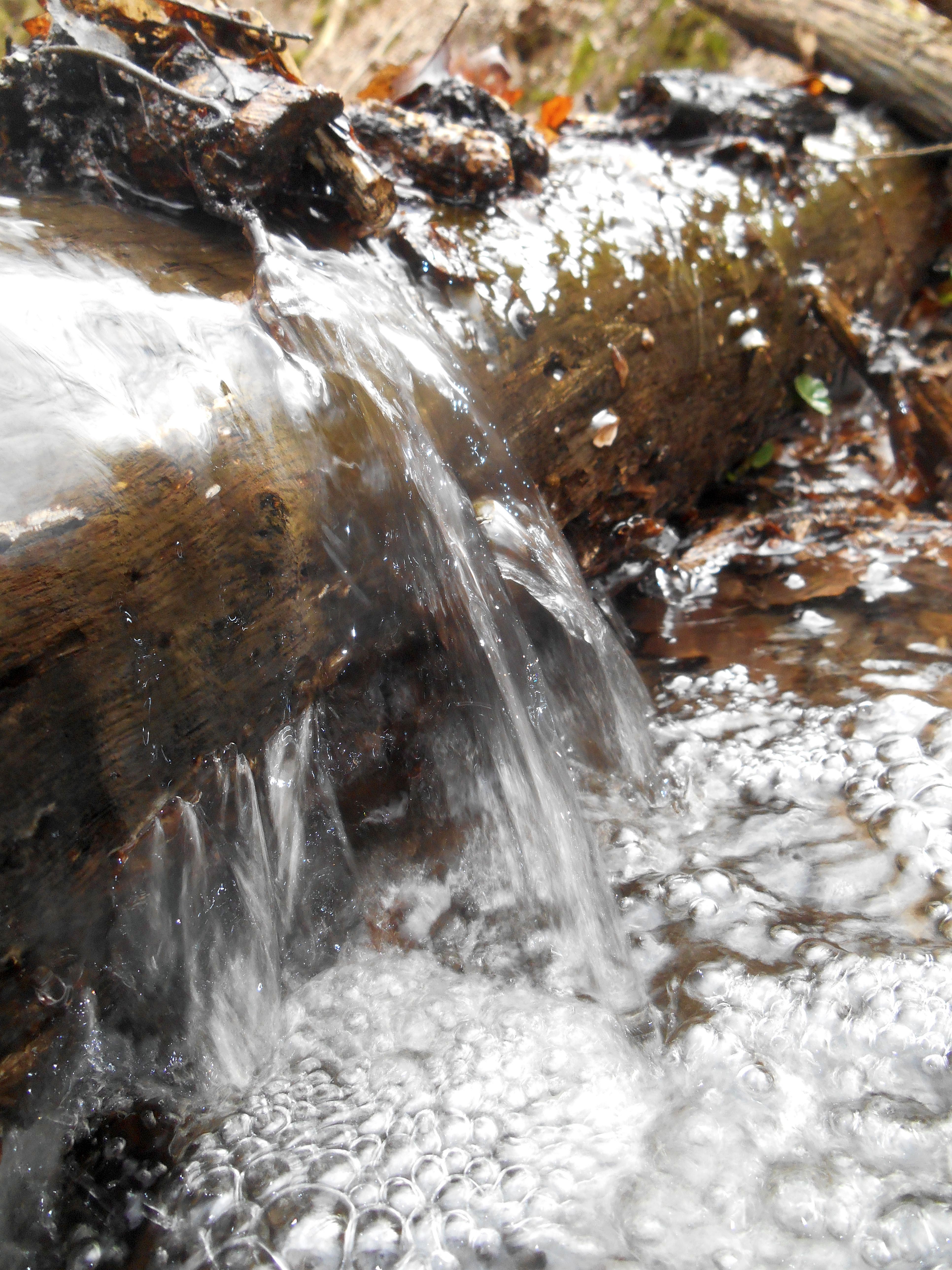 dscn7243.JPG