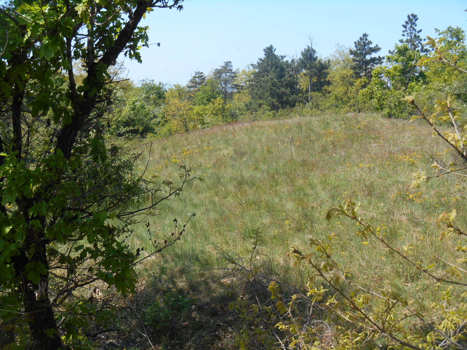 dscn7870.JPG