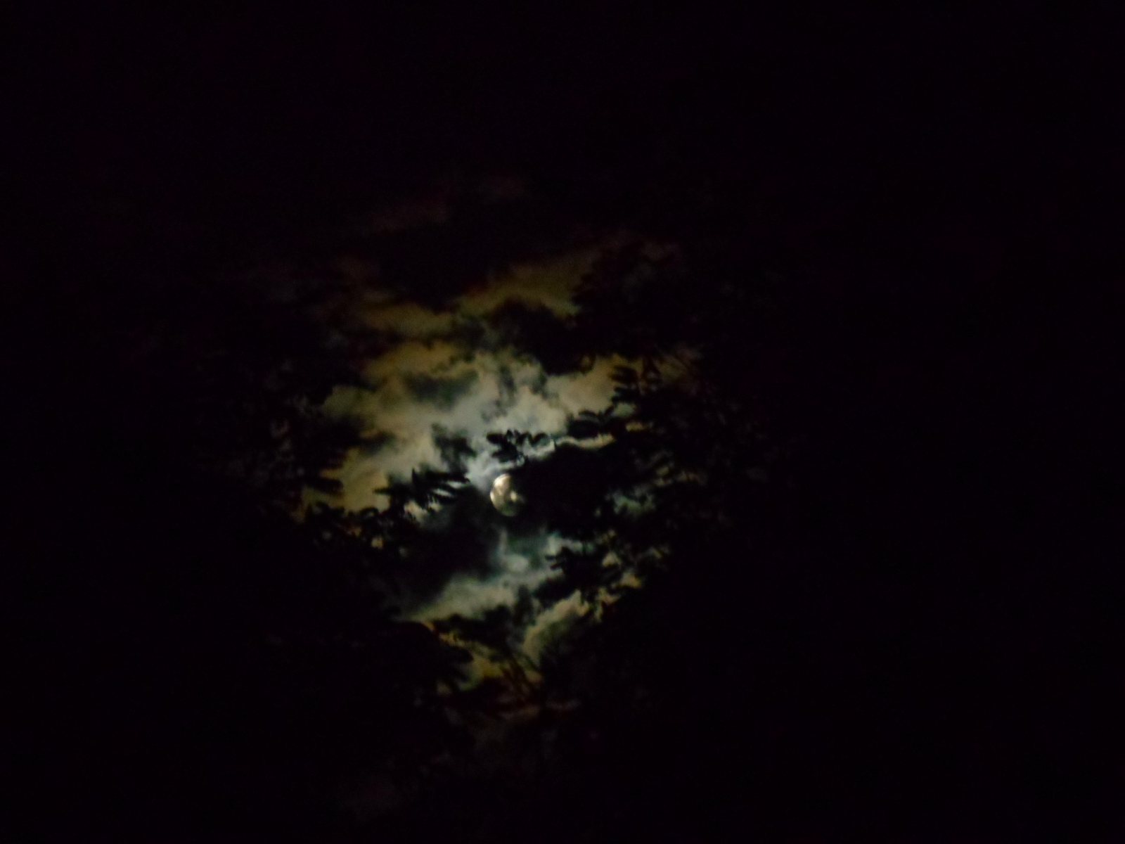 dscn8953_1.JPG