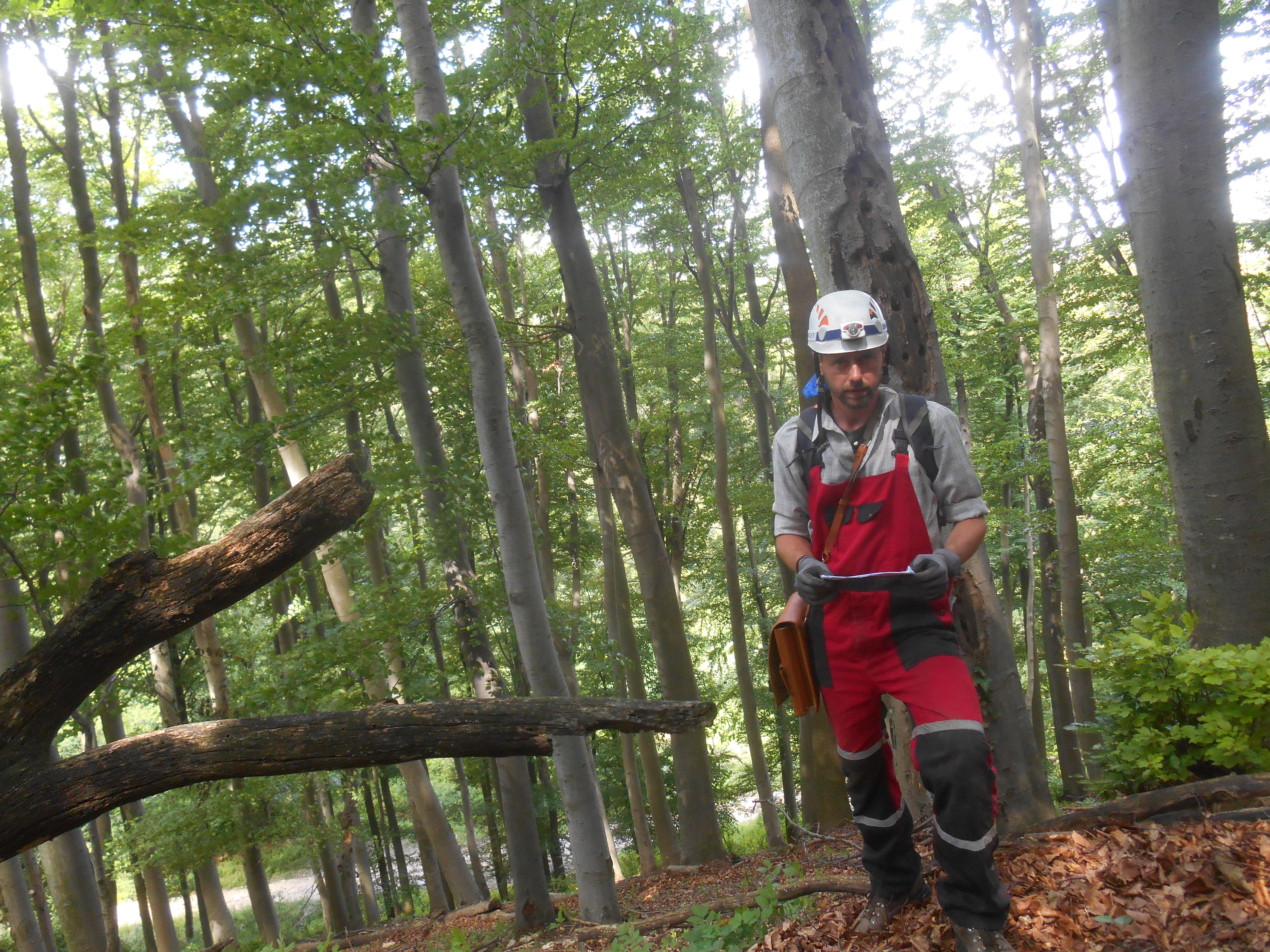 dscn9232.JPG