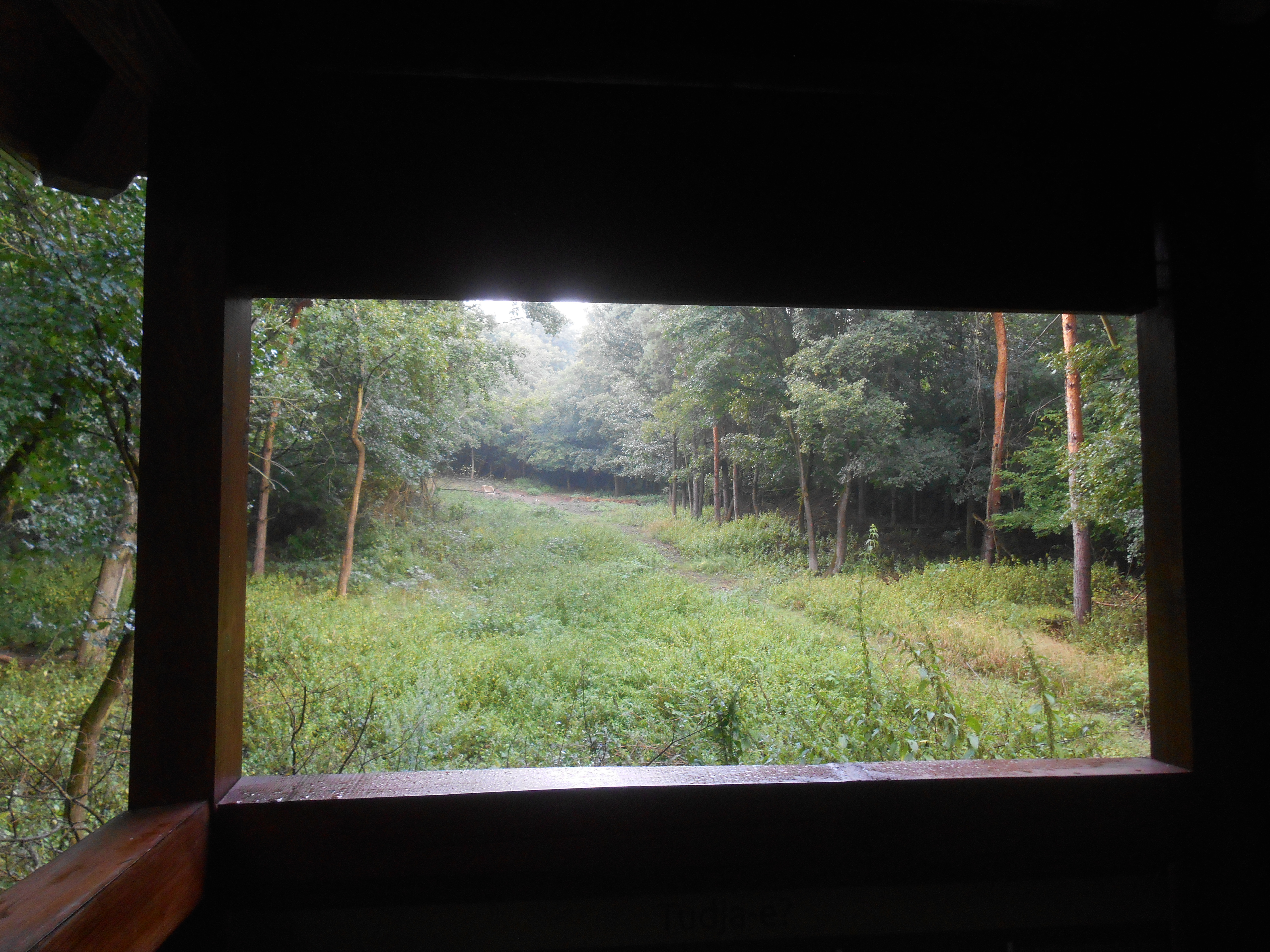 dscn9318.JPG