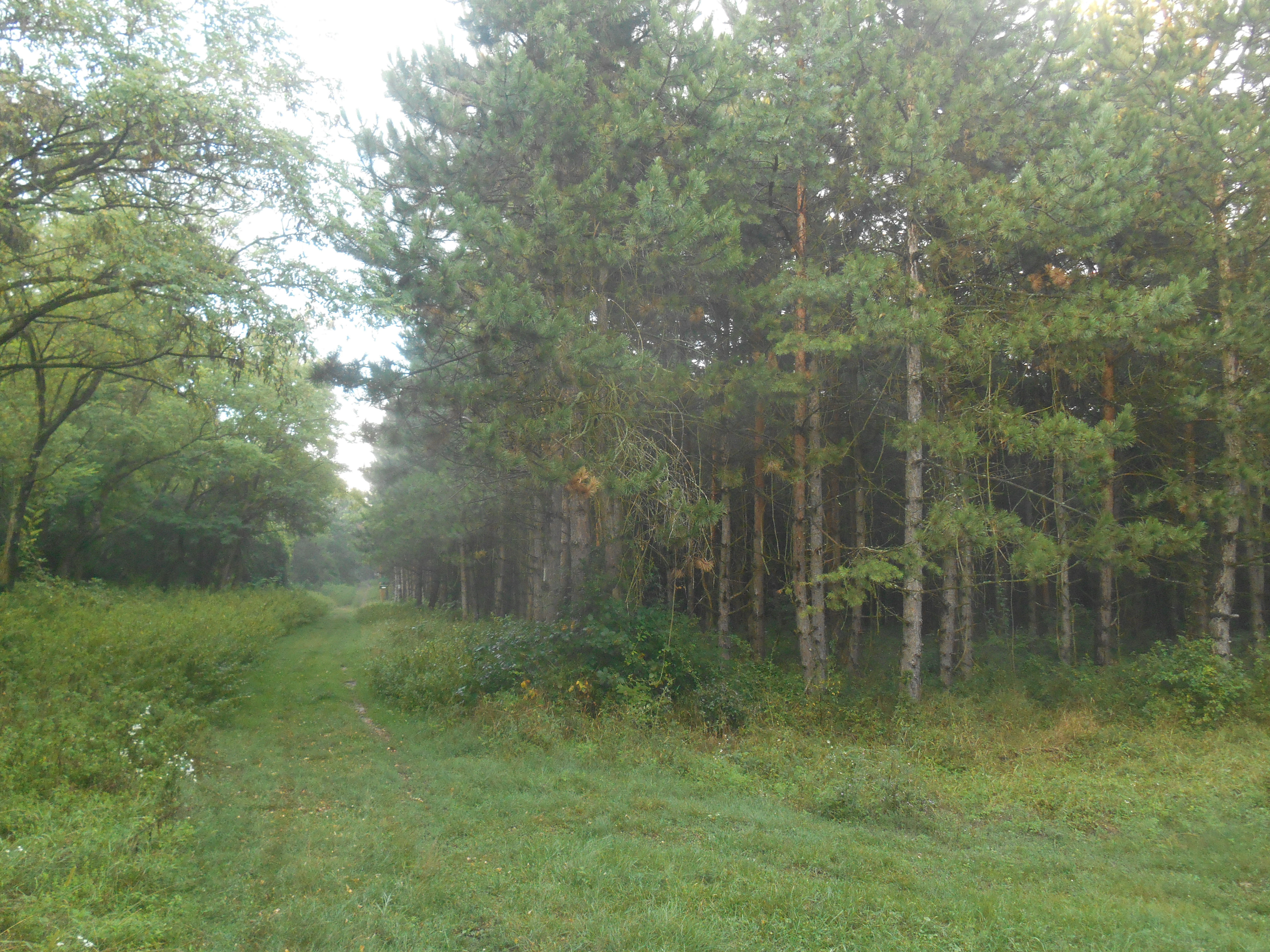 dscn9321.JPG
