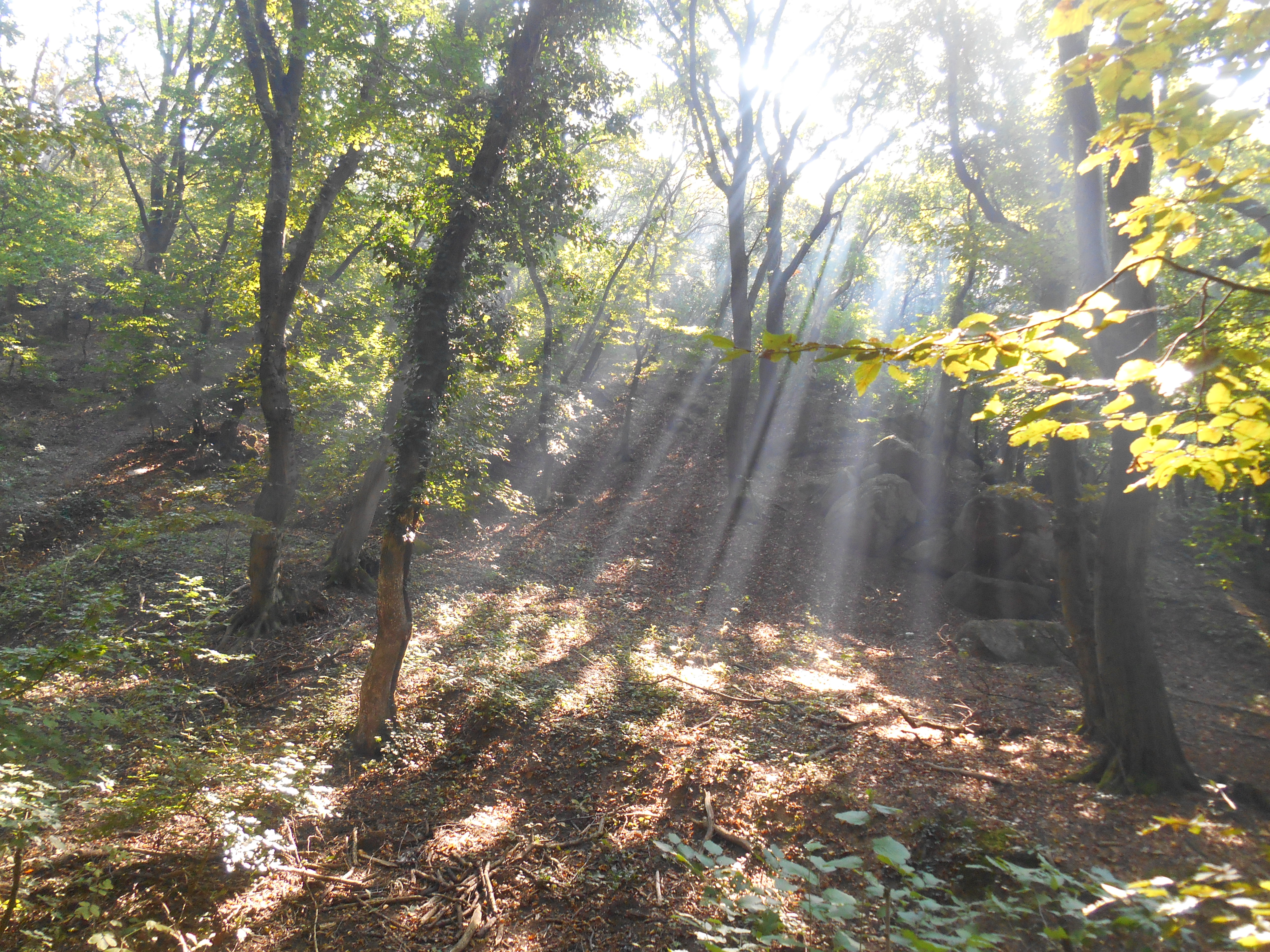 dscn9836.JPG