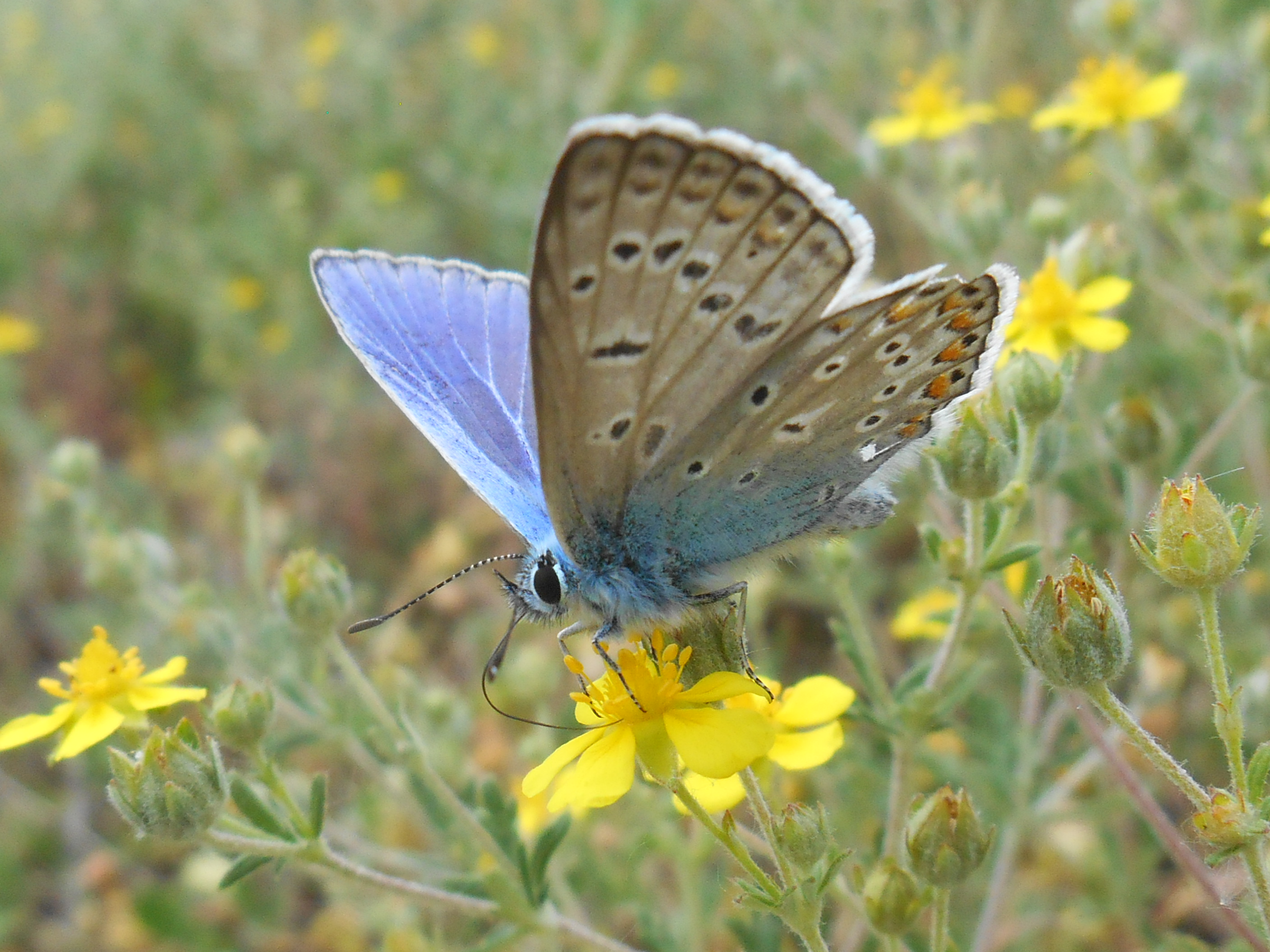 rscn2392.JPG