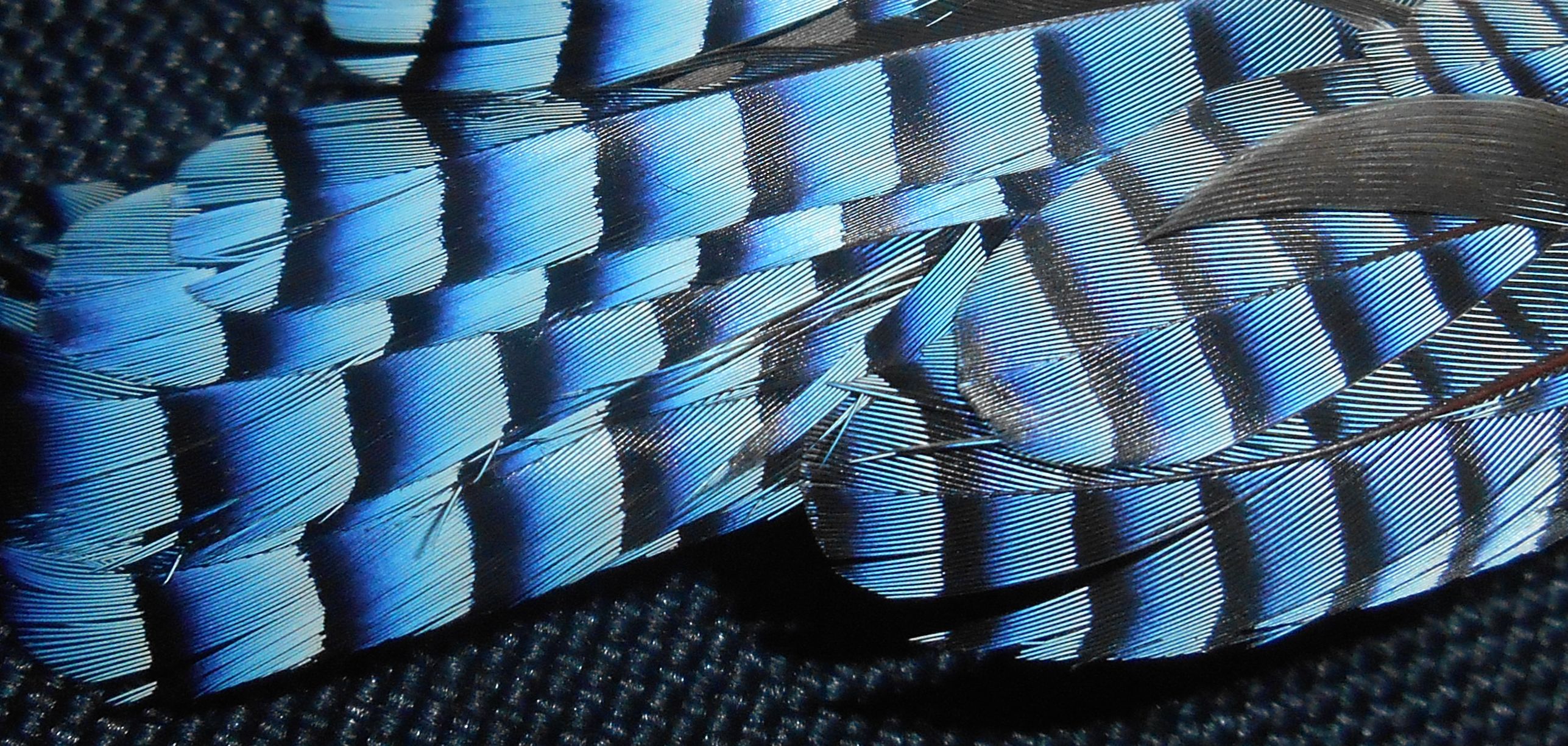 vagolap01_3.jpg
