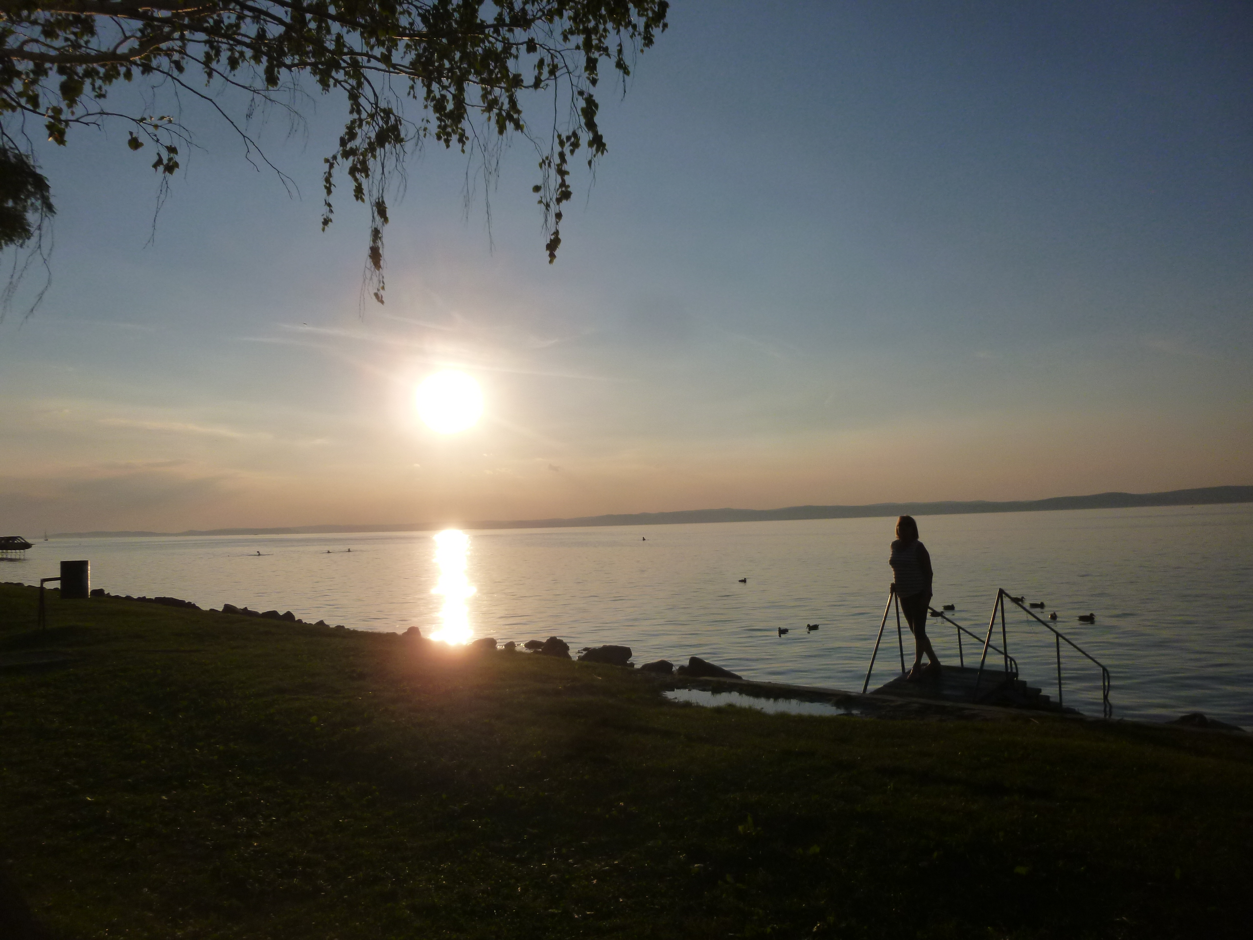 p1090413.JPG