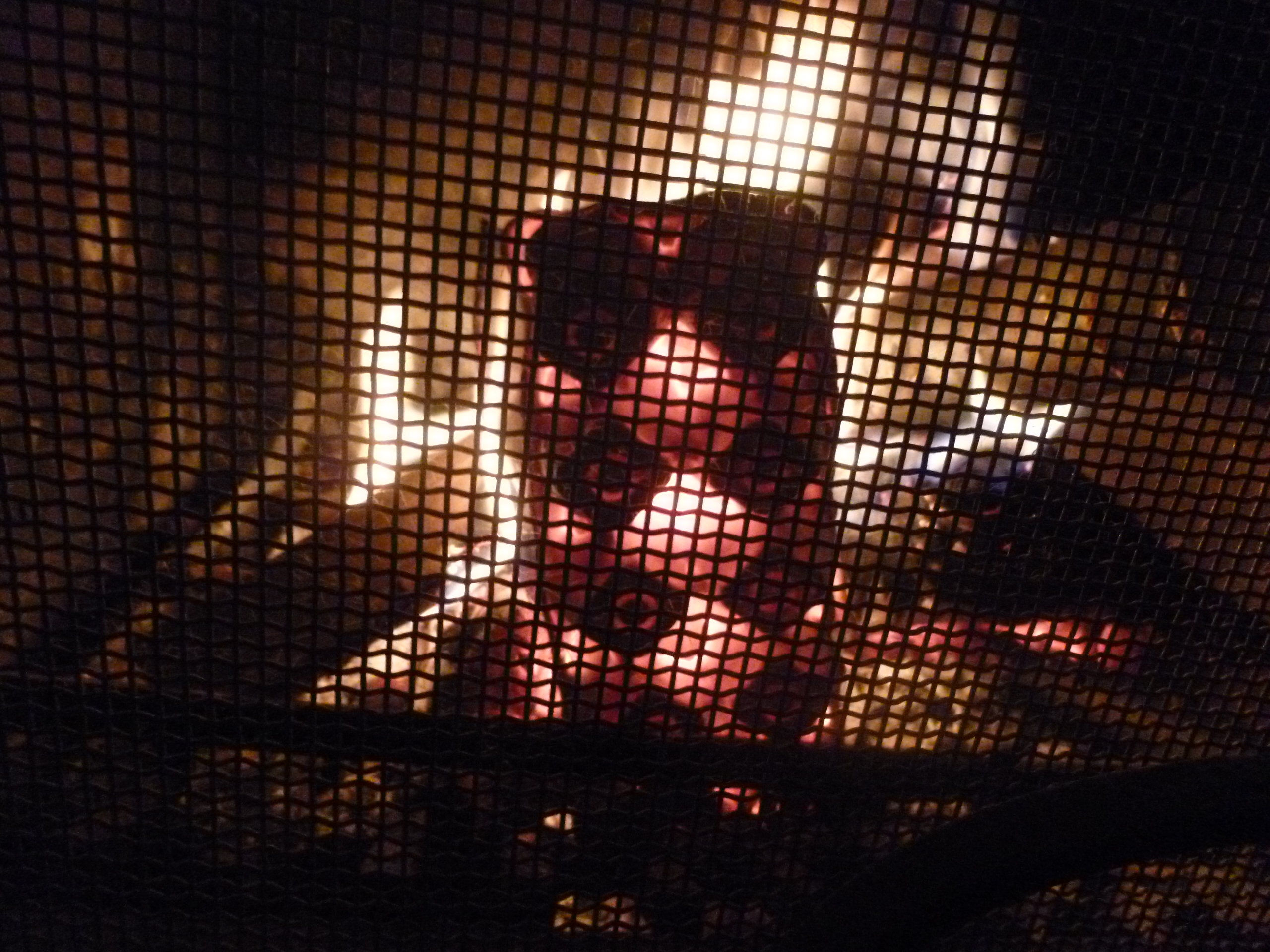 p1100373.JPG