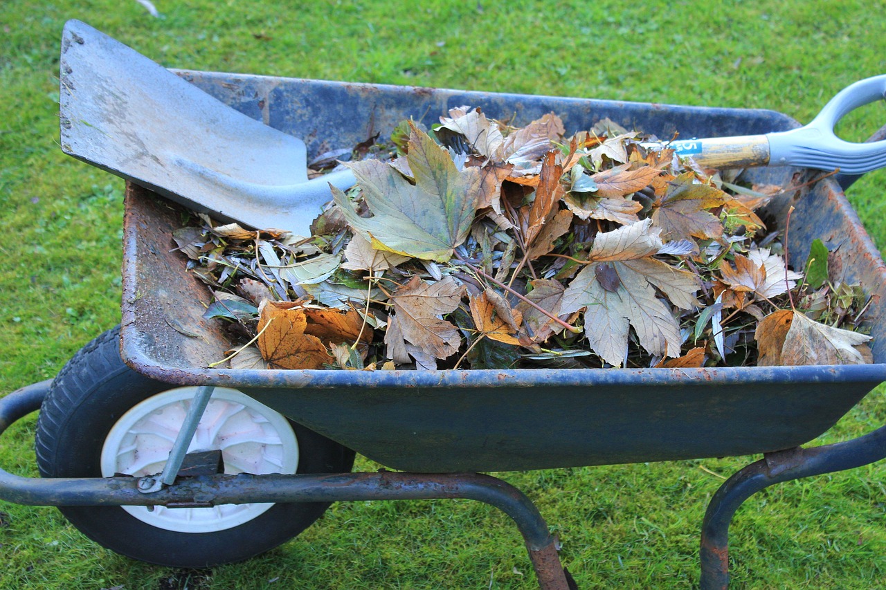 wheelbarrow-3794784_1280.jpg