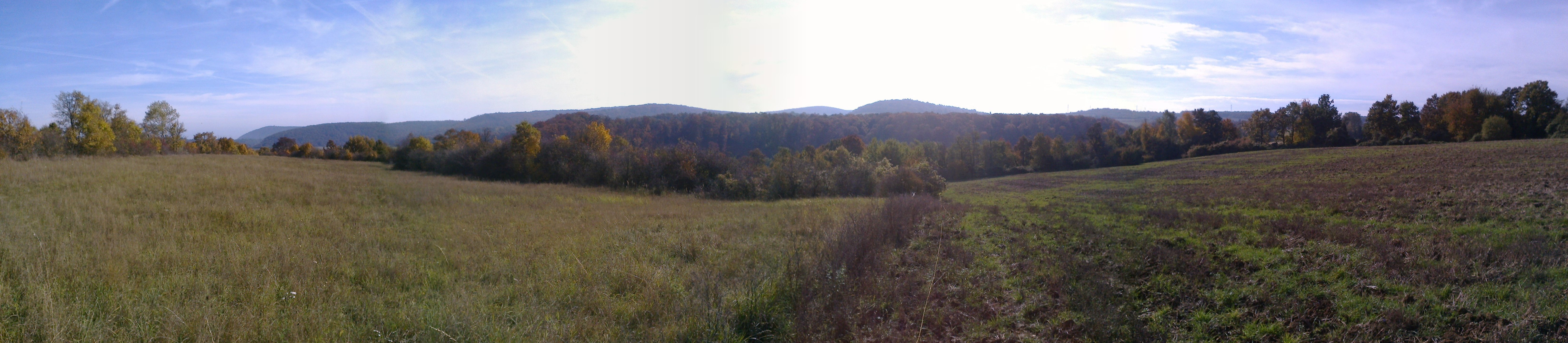 20161025_021.jpg