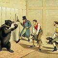 A medvecsali - egy kegyetlen szórakozás