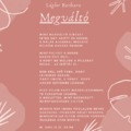 Lágler Barbara-Megváltó