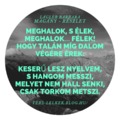 Lágler Barbara: Magány - részlet