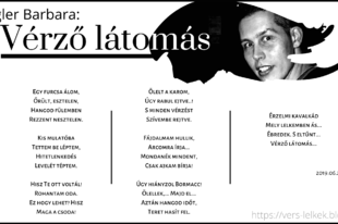Lágler Barbara-Vérző látomás