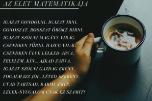 Lágler Barbara-Az élet matematikája
