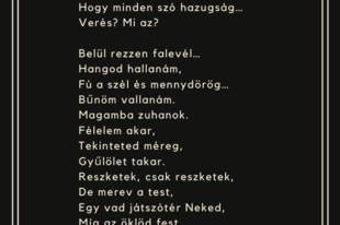 Lágler Barbara-Csak Játékból