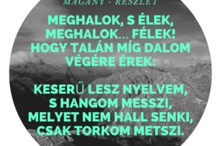 Lágler Barbara: Magány - részlet