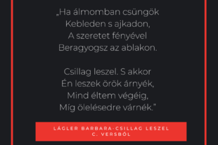 Lágler Barbara: Csillag leszel részlet