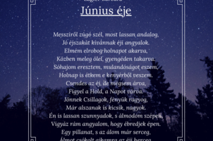 Lágler Barbara-Június éje