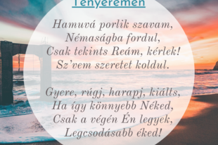 Lágler Barbara: Tenyeremen - részlet