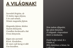 Lágler Barbara-A világnak!