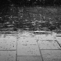 Boris Vian: Bár könnyből lenne az eső