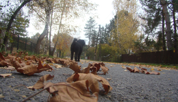 November 18. - Tamkó Sirató Károly: Késő ősz