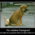 Ha valakire haragszol