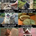Én lehet 100-ban...:-)))