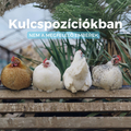 Nem megfelelő emberek - különböző helyeken...