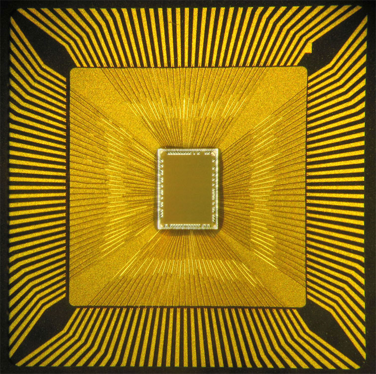 Cognitiv chip.jpg