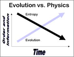 Entropy 2.jpg