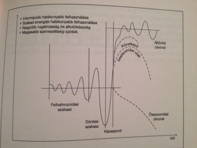 Laszlo diagram.jpg