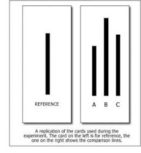 anyag_tevedes_research_salomon_asch_1.jpg