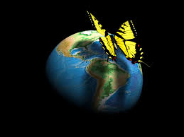 butterfly.jpeg