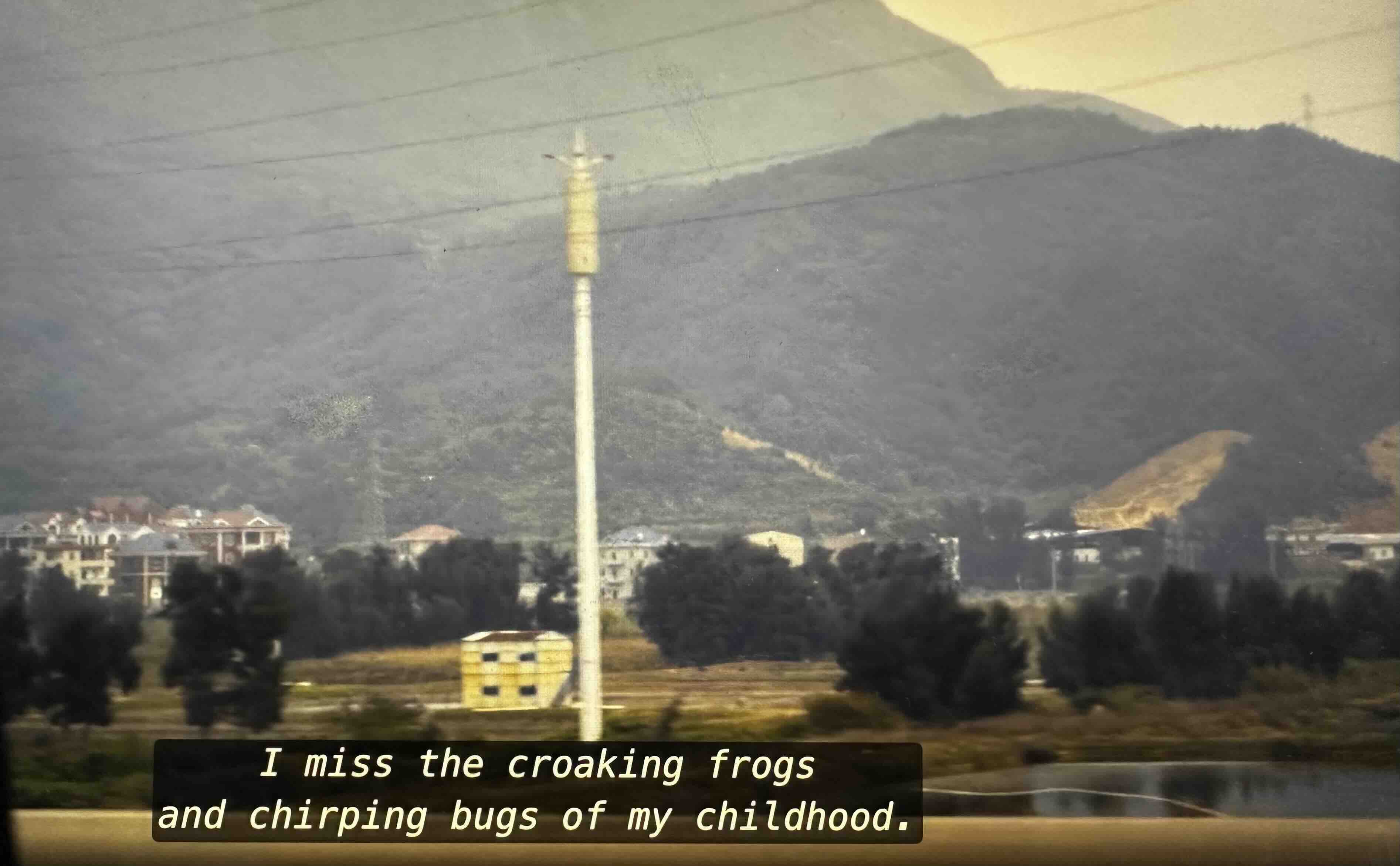 elnok_5.jpeg