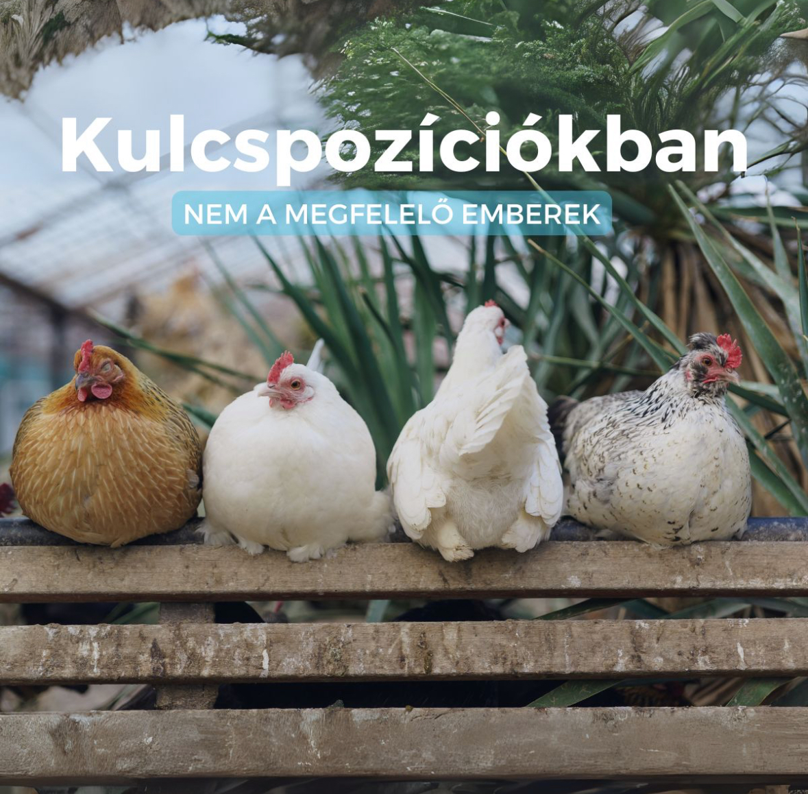 kulcspoziciokban_nem_megfelelo_emberek.jpeg