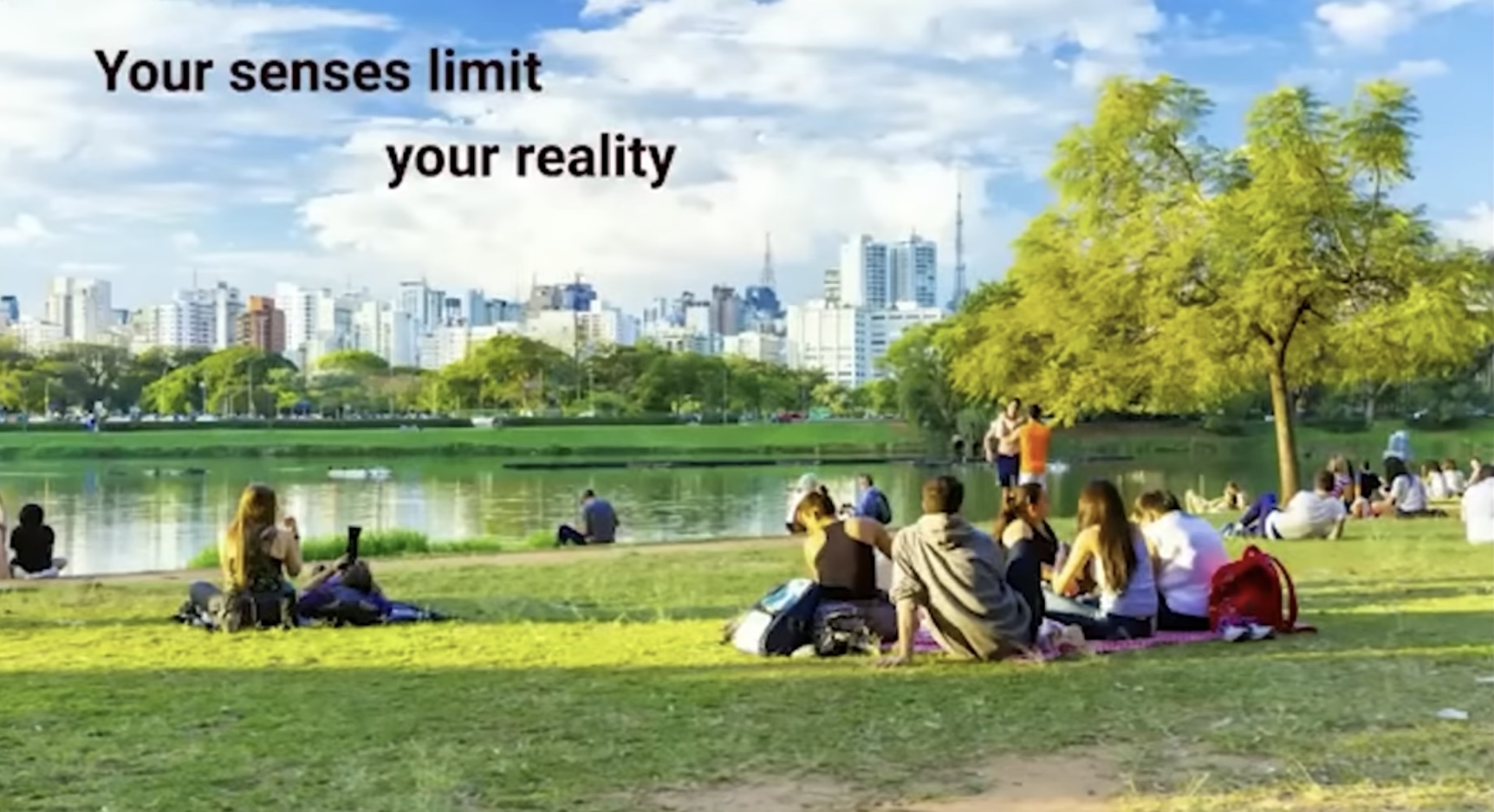 your_senses.jpeg