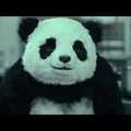 Never say no to Panda! - Funny Ads 2017