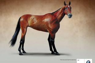 BMW reklámok - extra állatok