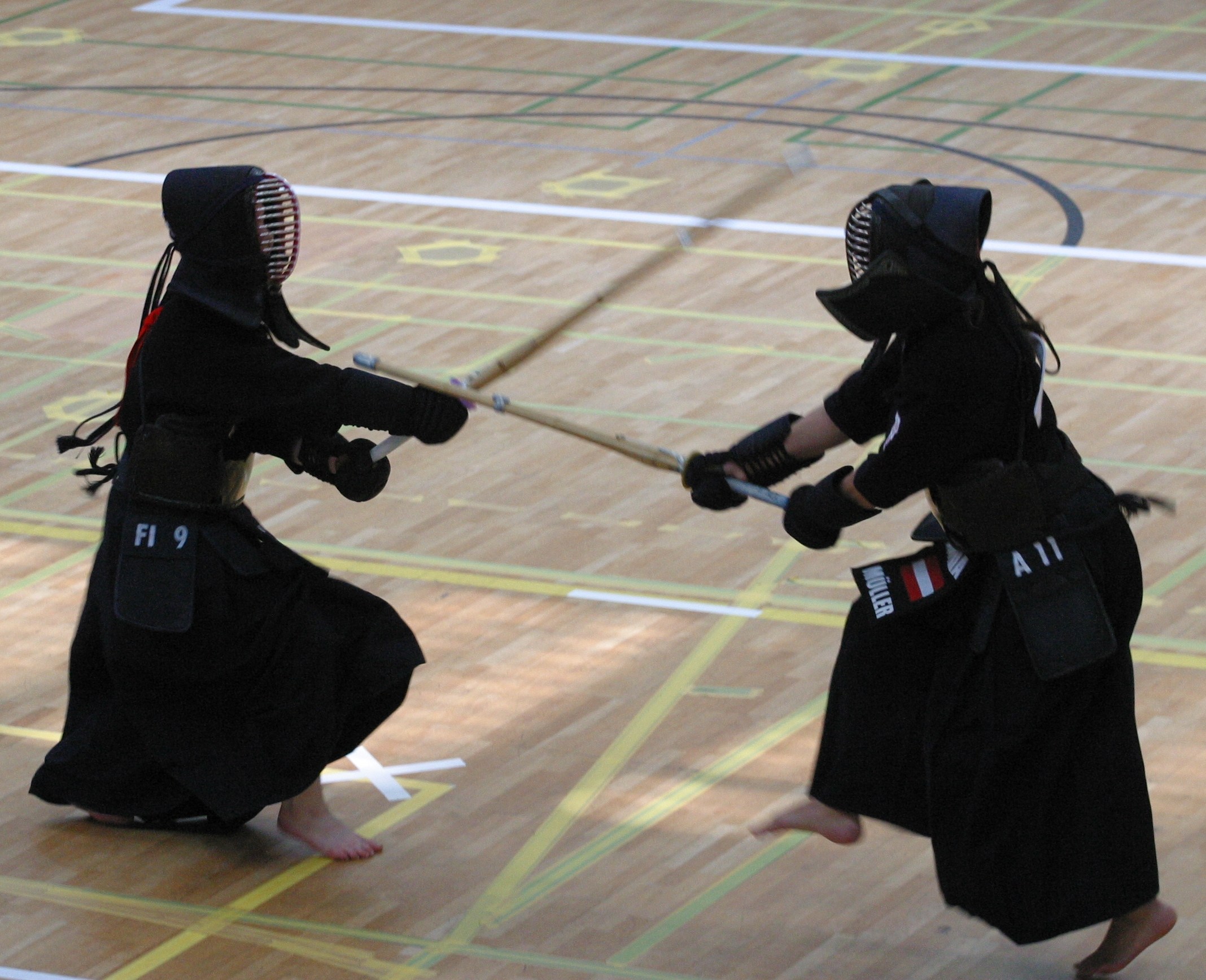 kendo_em_2005_kote.jpg