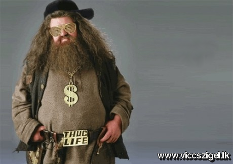 hagrid.png