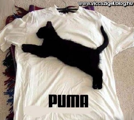 puma.jpg